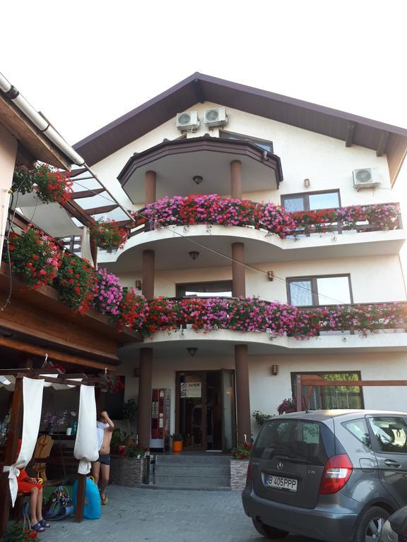 Pensiunea Daiana Navodari Exterior photo